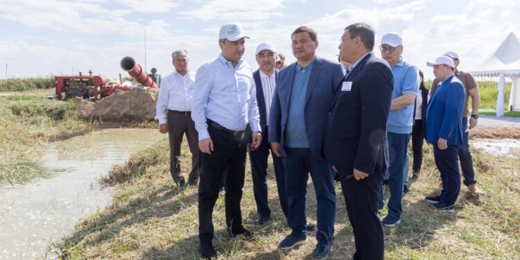 Премьер-министр Қызылорда облысында гидронысандардың жай-күйін және су үнемдеу технологияларын енгізу барысын тексерді