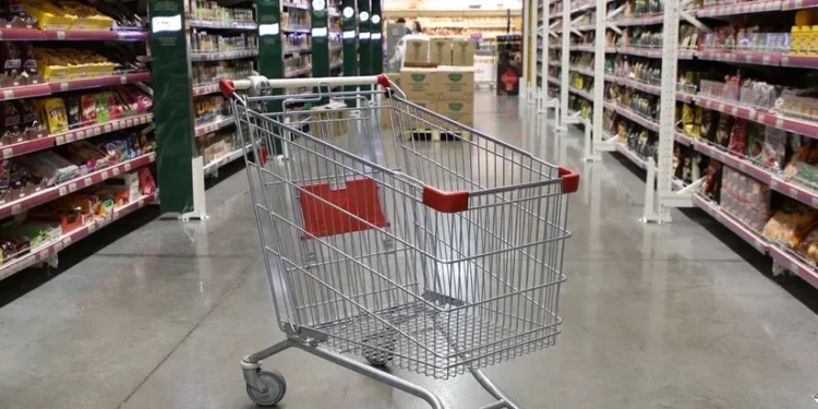 «Біздің нарықтағы жағдай – ұят»: Тоқаев импорттық азық-түлікке тәуелсіз болу мәселесін көтерді