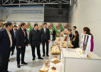 Үкімет өкілдері «Тұмар» өнеркәсіптік аймағында болды