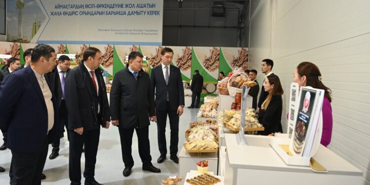 Үкімет өкілдері «Тұмар» өнеркәсіптік аймағында болды