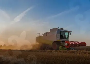 HARVEST AGRO компаниясы Қызылорда облысында ірі инвестициялық жобаны іске асыруда