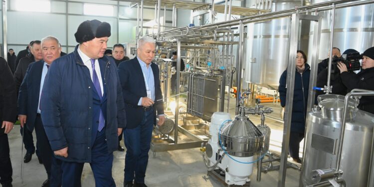 Аймақ басшысы түйе сүтінен құрғақ ұнтақ шығаратын зауыт құрылысымен танысты