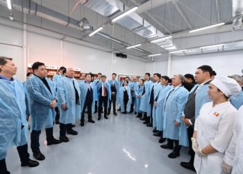 КОАЛИЦИЯ  МҮШЕЛЕРІ КӘСІПКЕРЛЕРМЕН ЖӘНЕ КӨЛІК САЛАСЫ ҚЫЗМЕТКЕРЛЕРІМЕН КЕЗДЕСТІ