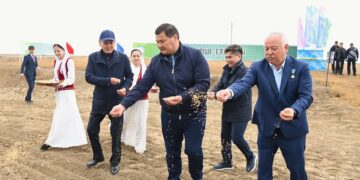 СЫР ӨҢІРІНДЕ ЕГІН АЛҚАБЫНА АЛҒАШҚЫ ДӘН СЕБІЛДІ