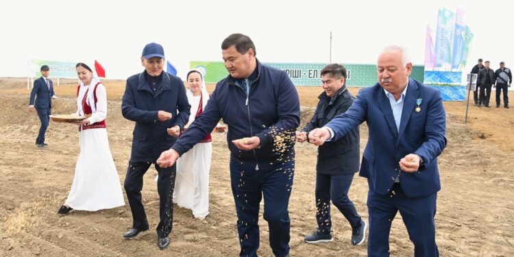 СЫР ӨҢІРІНДЕ ЕГІН АЛҚАБЫНА АЛҒАШҚЫ ДӘН СЕБІЛДІ