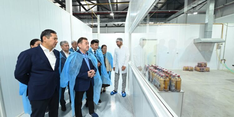 ШАҒЫН ӨНЕРКӘСІПТІ ДАМЫТУ – АЙМАҚ ЭКОНОМИКАСЫНЫҢ МАҢЫЗДЫ БАҒЫТЫ